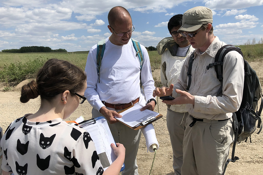 Dr. Maarten Voordouw (PhD) – second from left – and his WCVM research team search for ticks near Saskatoon in 2019. Photo: Emily Jenkins.