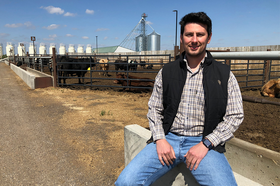 Dr. Murillo Pereira (PhD), a postdoctoral research fellow from Brazil, is the lead scientist on the USask-based projects to understand the role of fibre in feedlot cattle diets. Photo: Lana Haight.