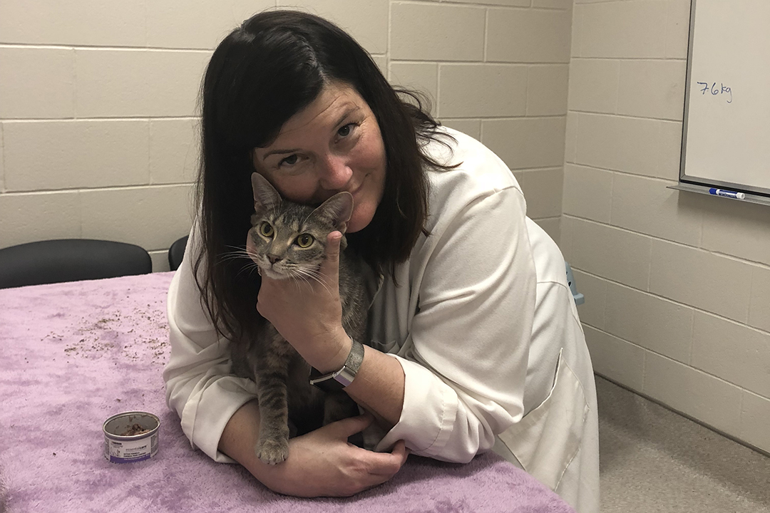 Dr. Karen Sheehan, a wellness veterinarian at the WCVM Veterinary Medical Centre. Photo: Chelsea Davidson. 