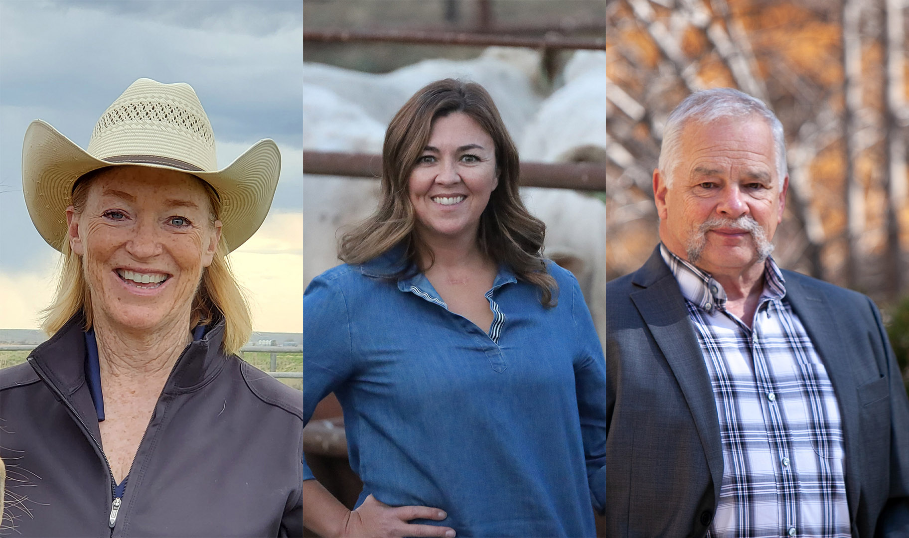 Anne Wasko, Cynthia Beck and Scott Wright (left to right) will address getting back to business in the LFCE Field Day's panel discussion.