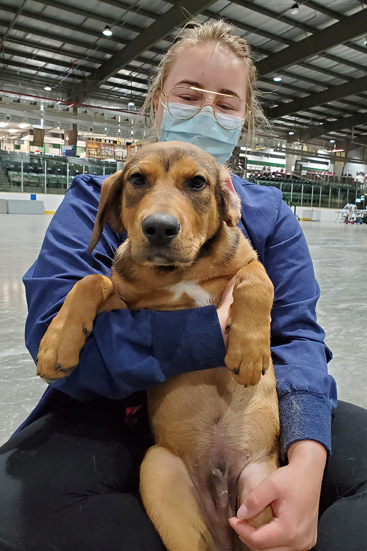 A volunteer holds a young canine patient at the La Ronge remote veterinary clinic in June. Submitted photo. 