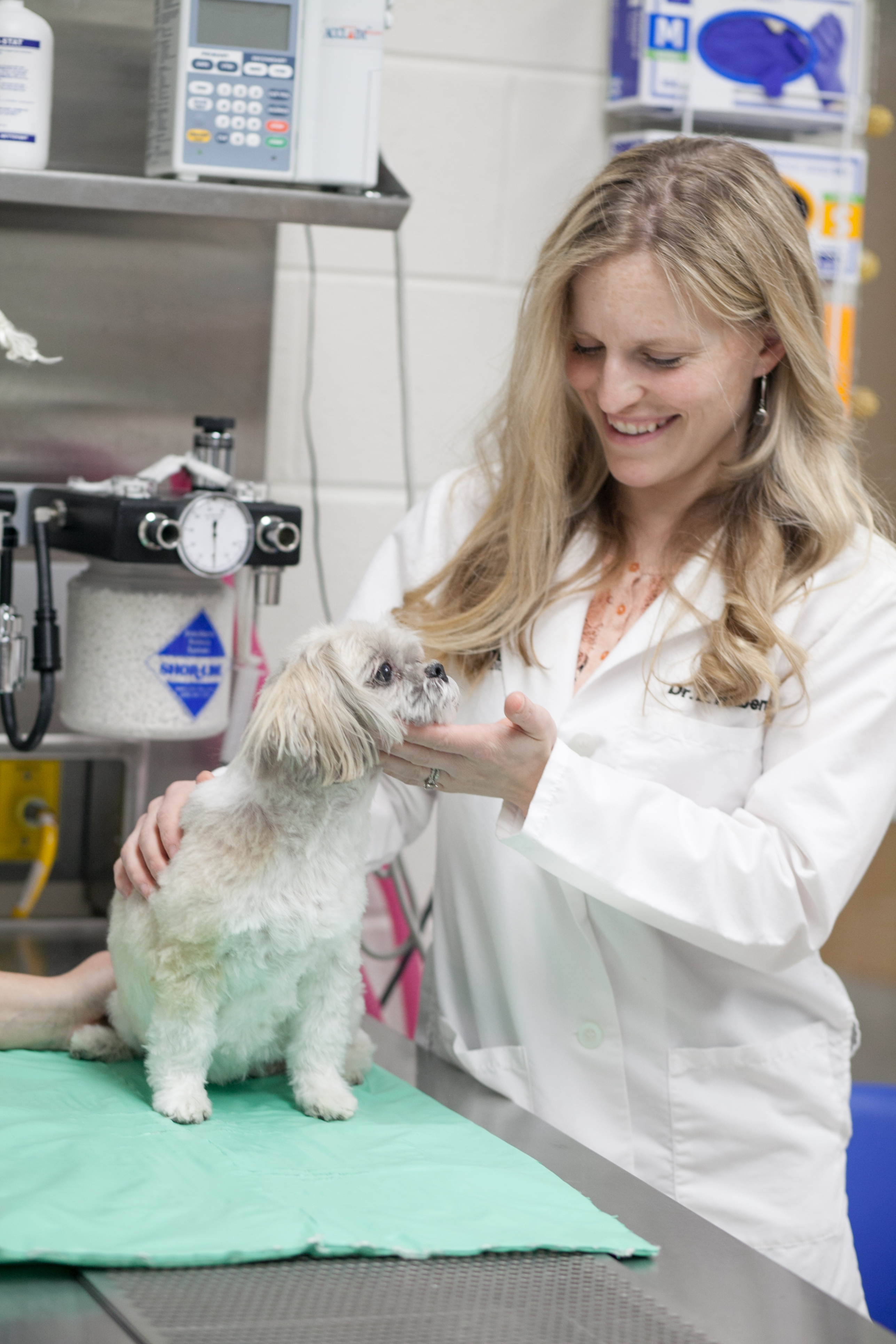 Dr. Erinn Hilberry, WCVM clinical associate in veterinary dentistry. Photo: Christina Weese.