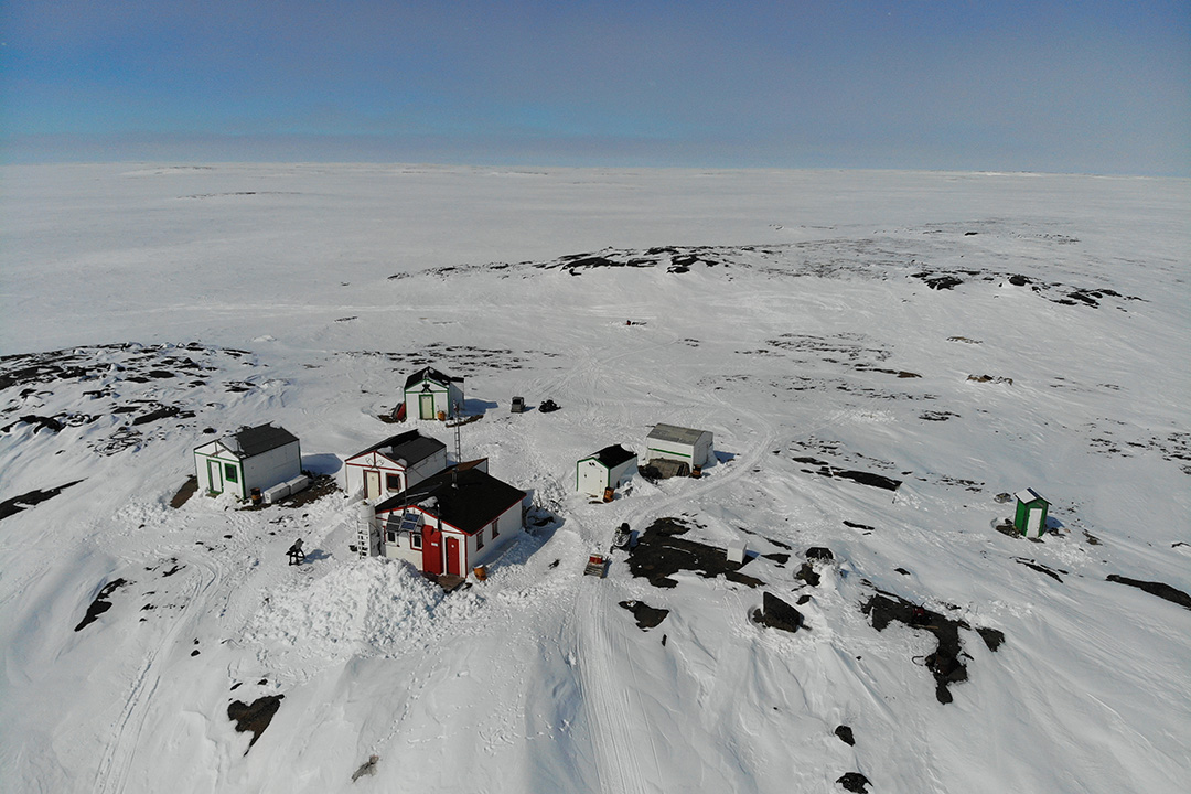 WCVM graduate student Kayla Buhler worked with wildlife to identify pathways of disease transmission at a research base in the Canadian Arctic. Supplied photo.