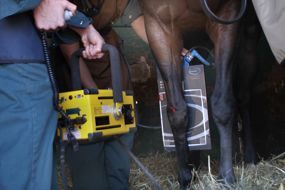 Portable X-ray machines are invaluable tools in equine practice, but they pose radiation risks and need to be handled with caution. Photo: Michael Raine.