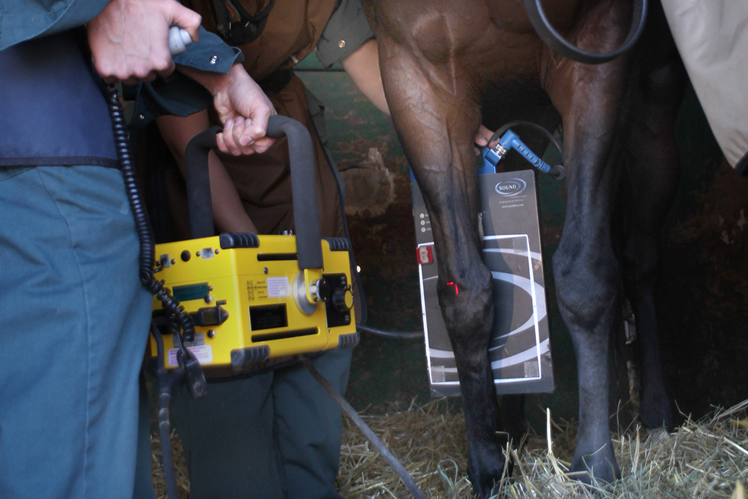 Safety vital near portable Xrays WCVM Today Western College of