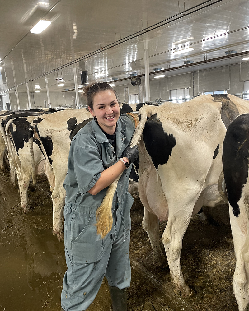 Isabell Stamm spent the summer of 2021 gaining valuable hands-on experience with cattle and other livestock at Warman Veterinary Services north of Saskatoon, Sask. Submitted photo. 