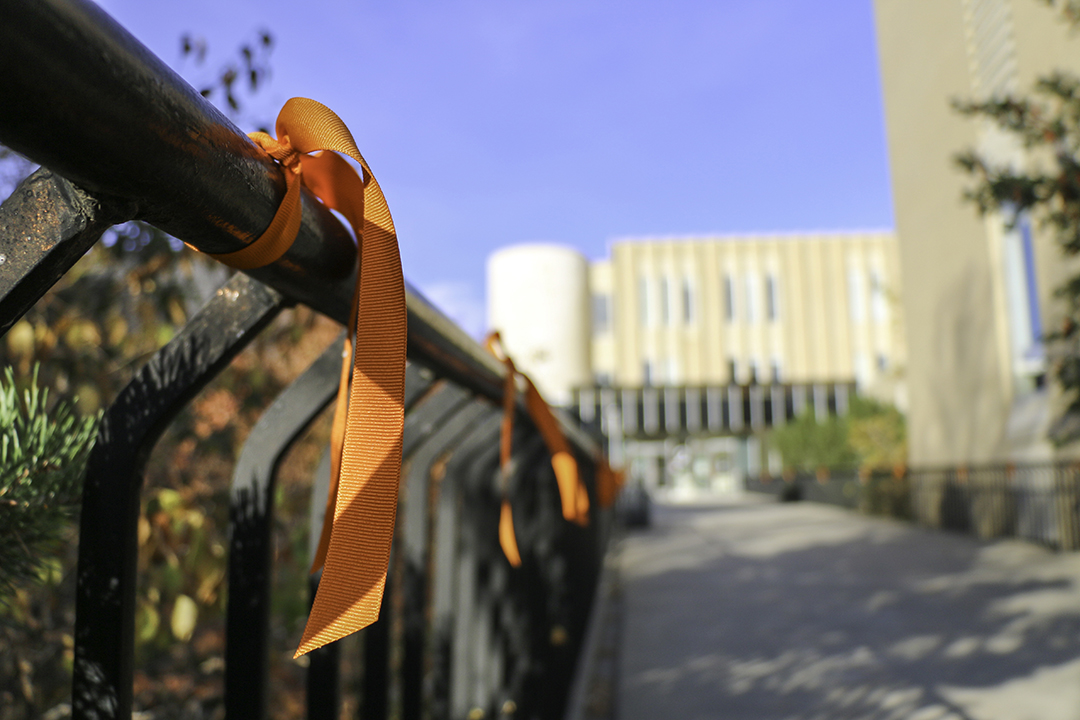 Orange ribbons tied at the entrance to the Western College of Veterinary Medicine. Photo by WCVM Today.