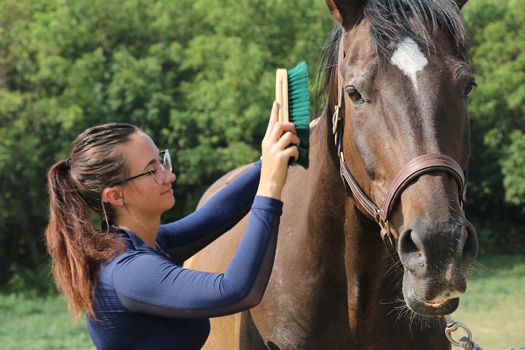 Toni-Anne Saworski, a WCVM graduate student as well as a horse owner and competitor, will be a panellist during the research panel discussion on Feb. 8. Photo: Jessica Colby.