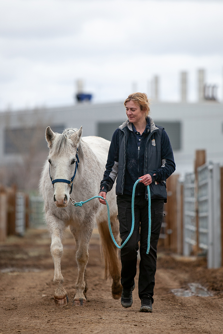 Dr. Nathalie Reisbig: “For me, horses were always a lifestyle from morning to evening. It was always a passion. Photo: Christina Weese. 