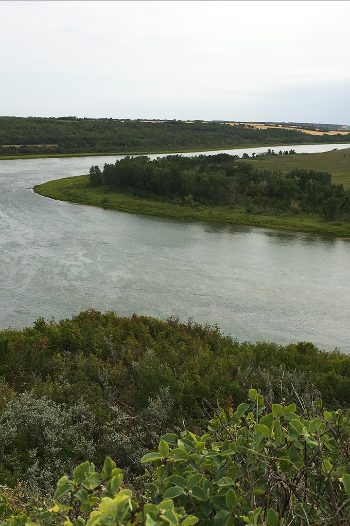 The South Saskatchewan River near Batoche, Sask. Photo: Myrna MacDonald.