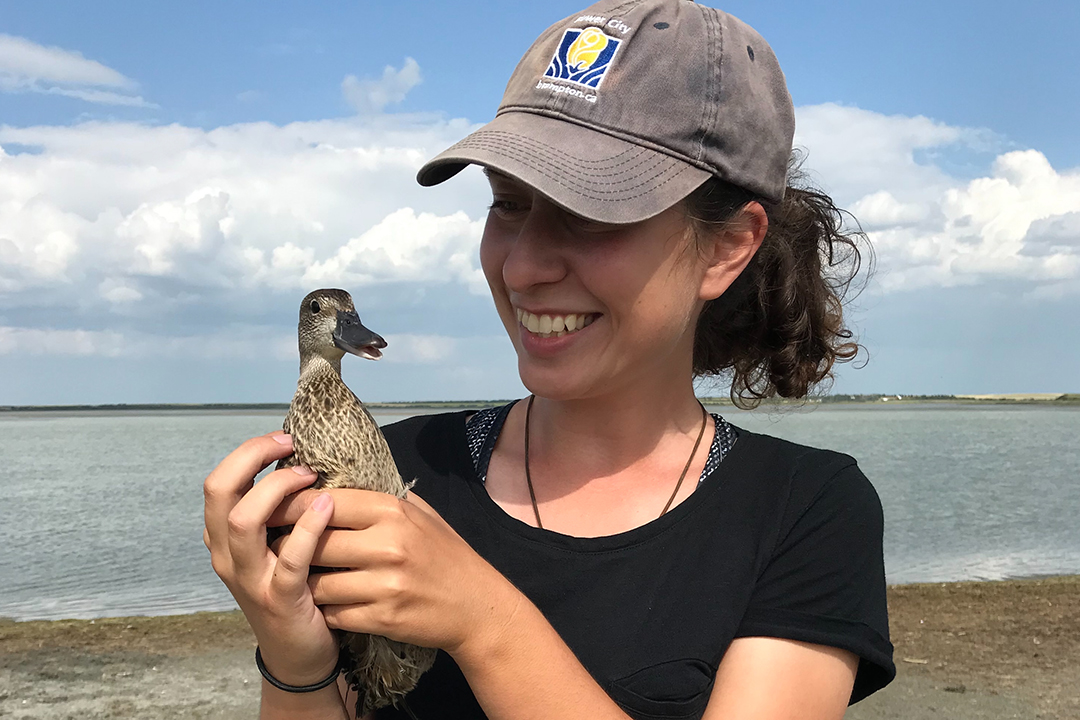 Crashing shorebird populations ring alarm bell on global water