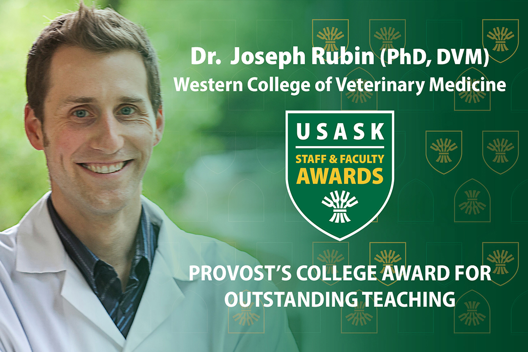Dr. Joe Rubin is the winner of this year's USask Provost’s College Award for Outstanding Teaching.