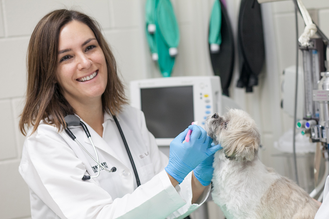 Dr. Candace Lowe at work at the WCVM Veterinary Medical Centre.