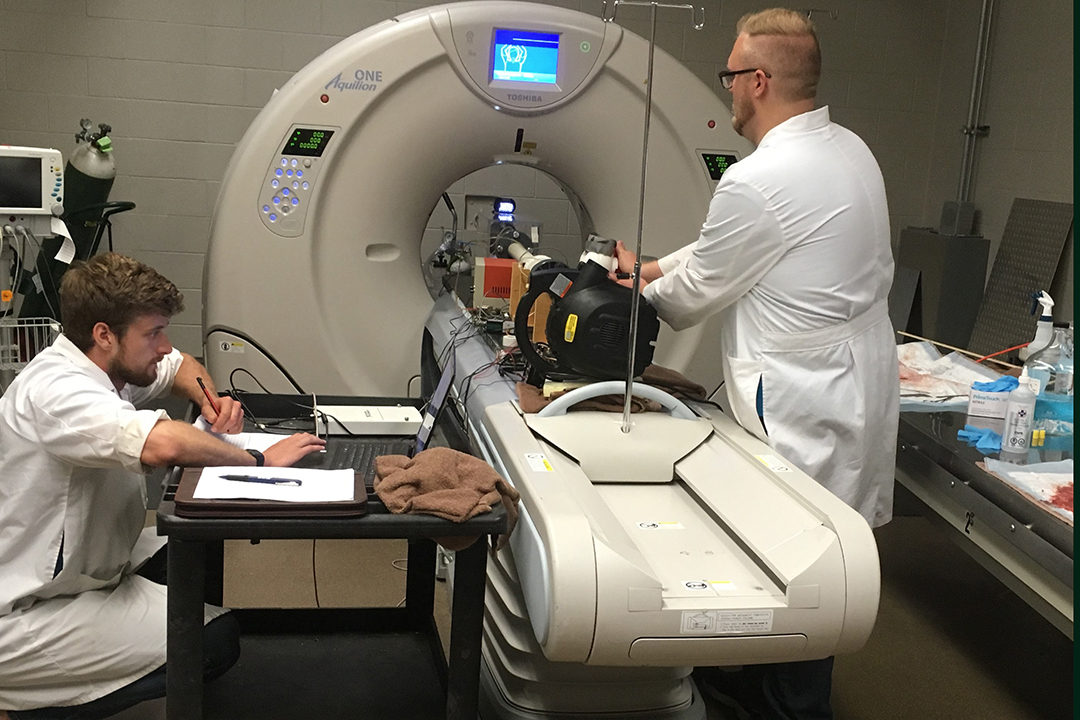 Paul Thiessen (left) and Brendan Loewen, who were summer research students in 2018, take CT scans of an equine larynx while air is being blown through the imaging unit. Photo: Dr. Michelle Tucker. 