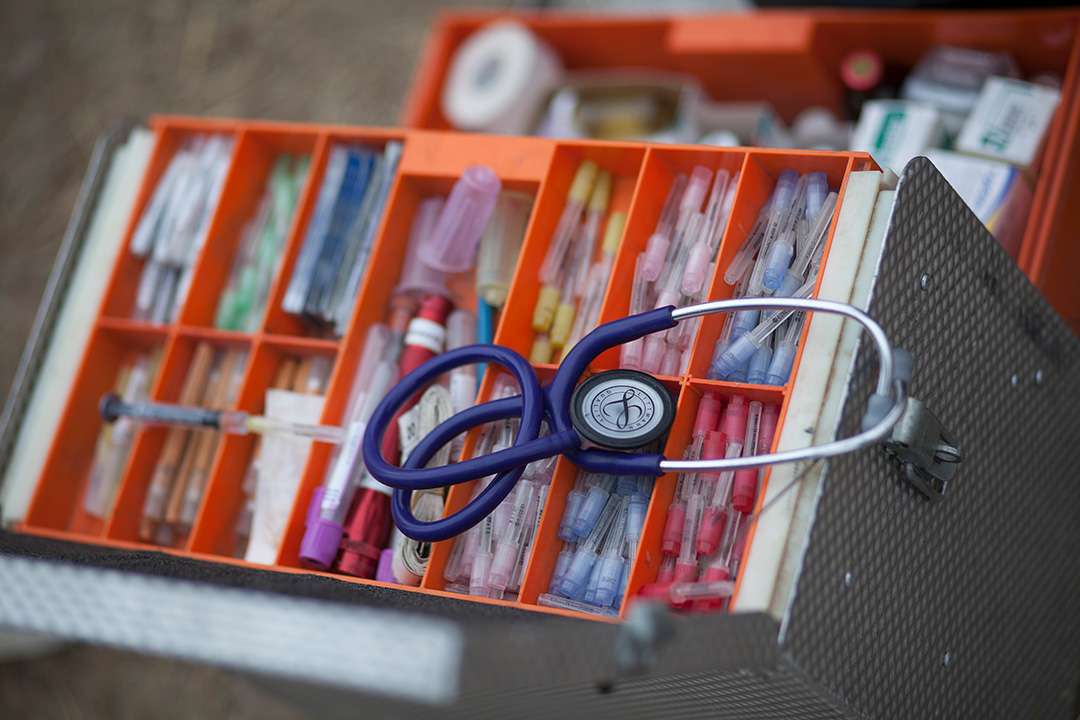 WCVM offers CE series geared for mixed animal veterinarians WCVM