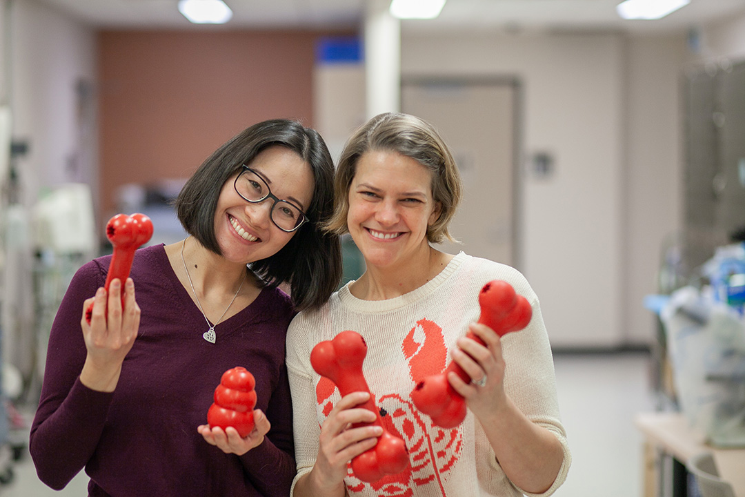 WCVM veterinary medical oncology resident Dr. Vivian Fan (left) and Pet Planet Primrose owner/operator Gillian Gratton. Photo: Christina Weese.