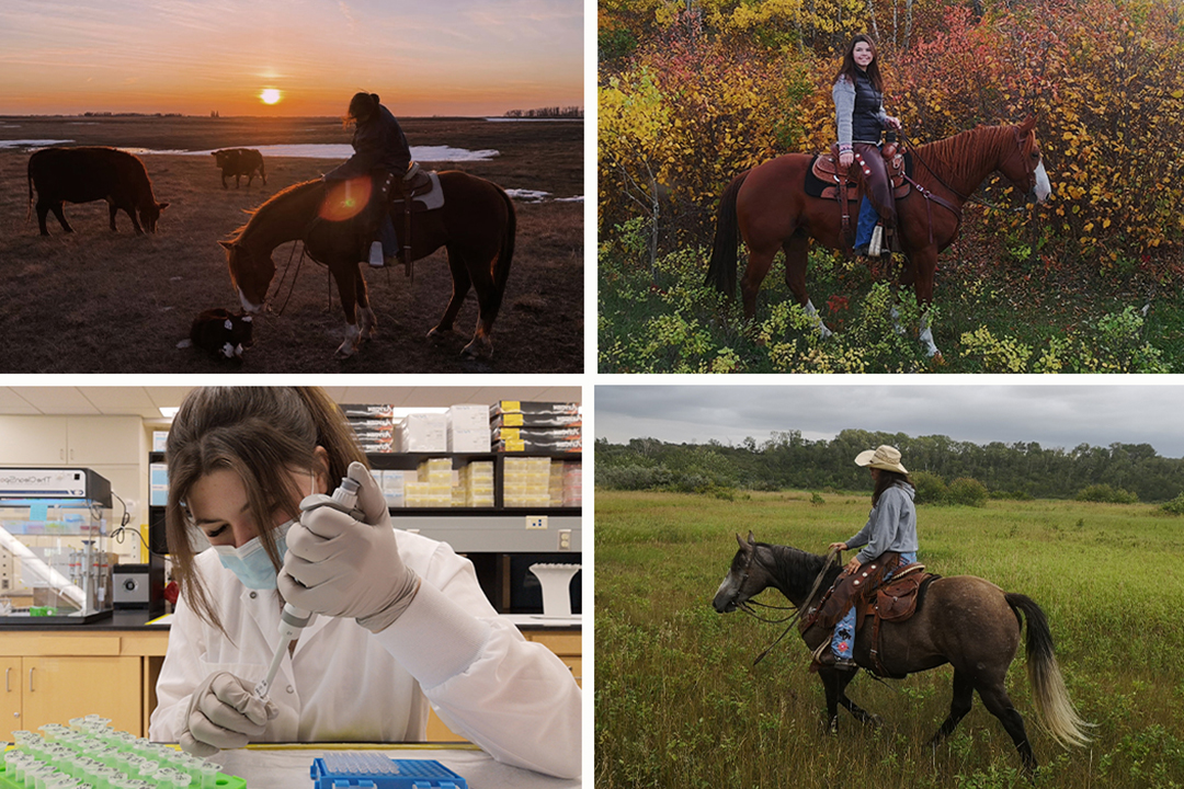 Four photos showing Morgan Lehmann in the lab and on her family's farm with horses and cattle. 