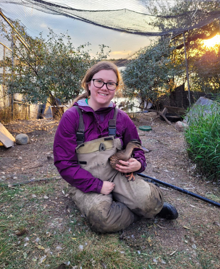 University of Saskatchewan graduate student Breanne Murray holds one of the mallard ducks in the group's captive flock. Supplied photo.