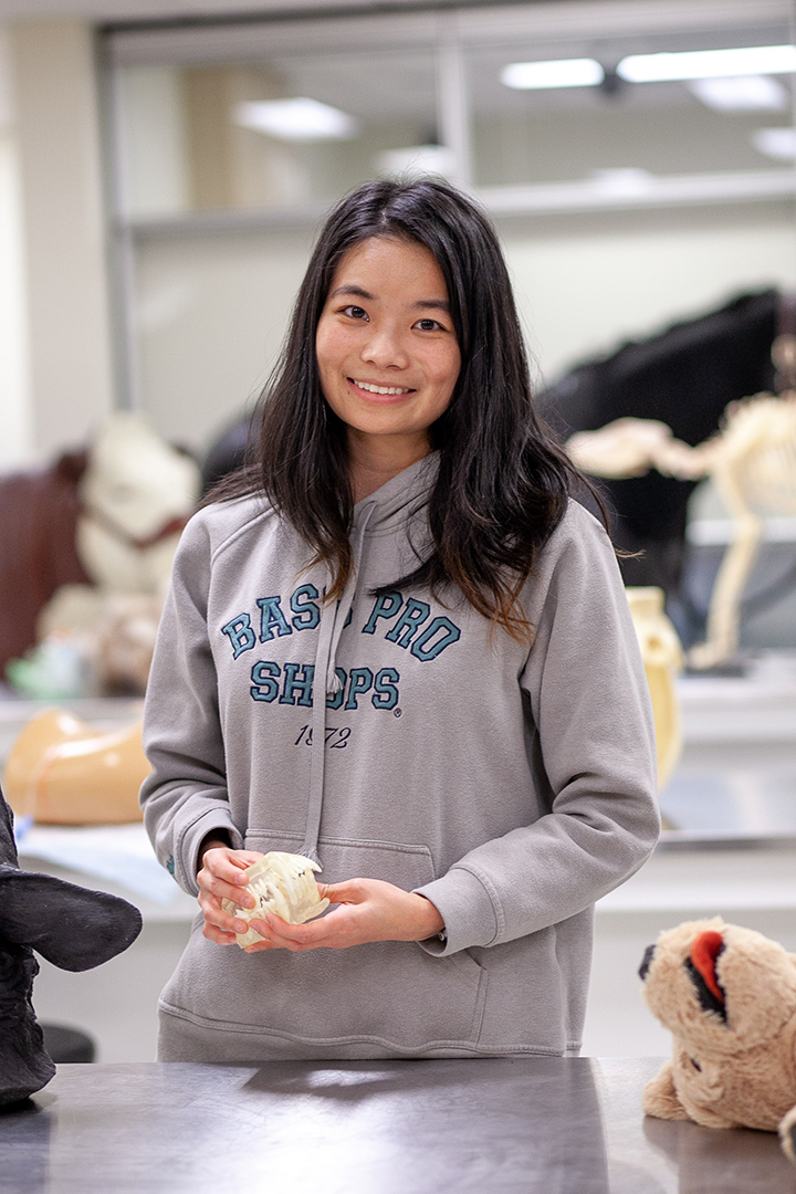 WCVM veterinary student Arial Wei. Photo: Christina Weese.