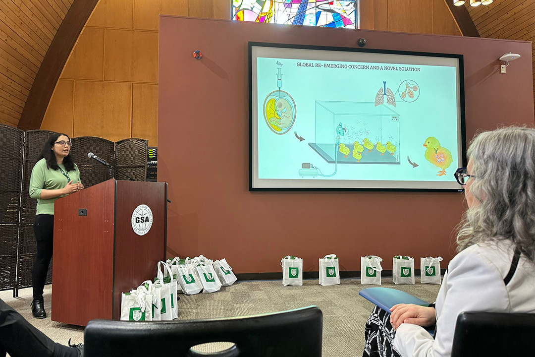Hemlata Gautam gives her three-minute presentation alongside her single slide summarizing her research work. Supplied photo. 