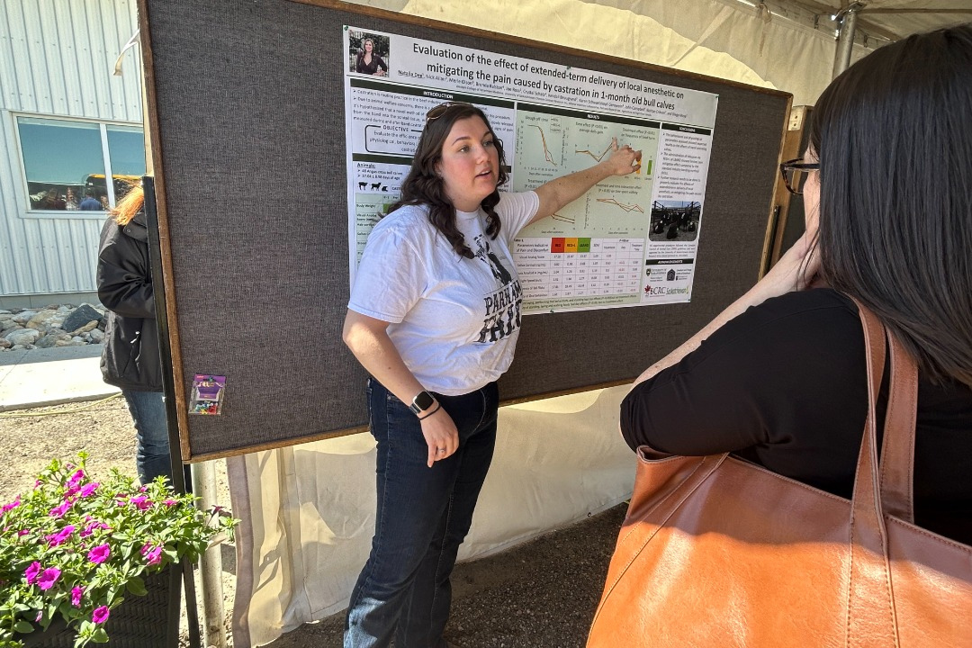 WCVM graduate student Natalia Dee presenting her research project to LFCE Field Day attendees. Photo: Cat Zens.
