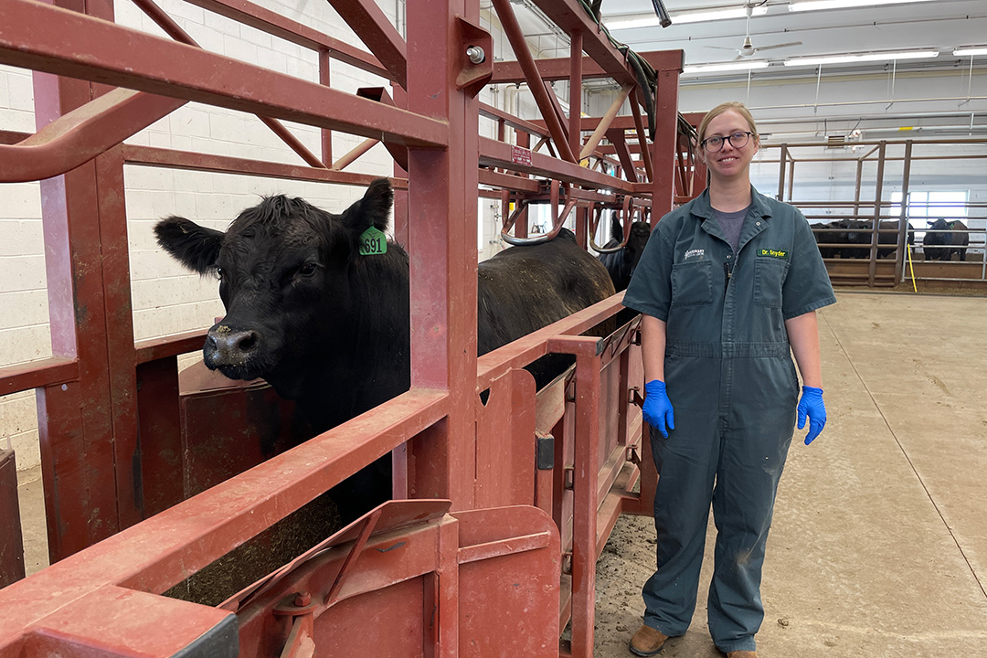 Dr. Emily Snyder is an assistant professor in the Department of Large Animal Clinical Sciences at the University of Saskatchewan’s Western College of Veterinary Medicine. Photo: Lana Haight. 