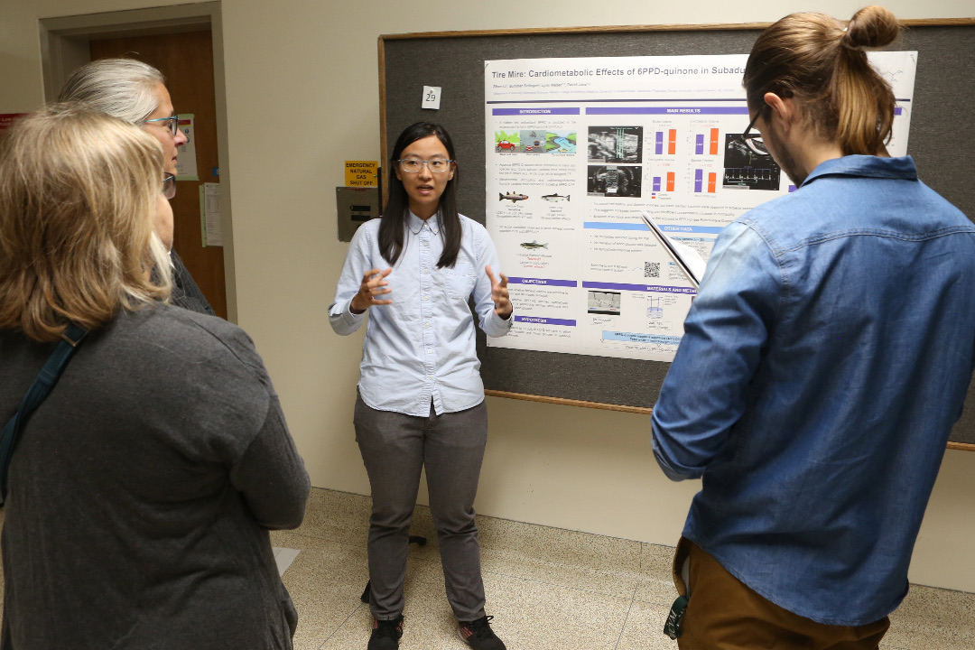 Zihan Li placed first in the basic and mechanistic research category at the WCVM undergraduate research poster day on September 6. Photo: Tyler Schroeder.