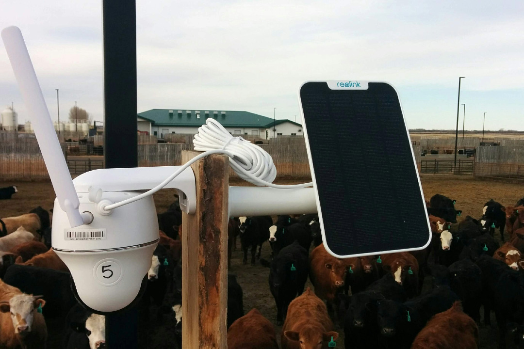 One of the research video cameras that's in place over beef cattle pens at the LFCE's Beef Cattle Research and Teaching Unit. Supplied photo. 