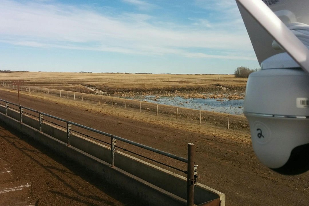 The bird's eye view alongside one of the research video cameras at the LFCE's Bovine Teaching and Research Unit near Clavet, Sask. Supplied photo. 