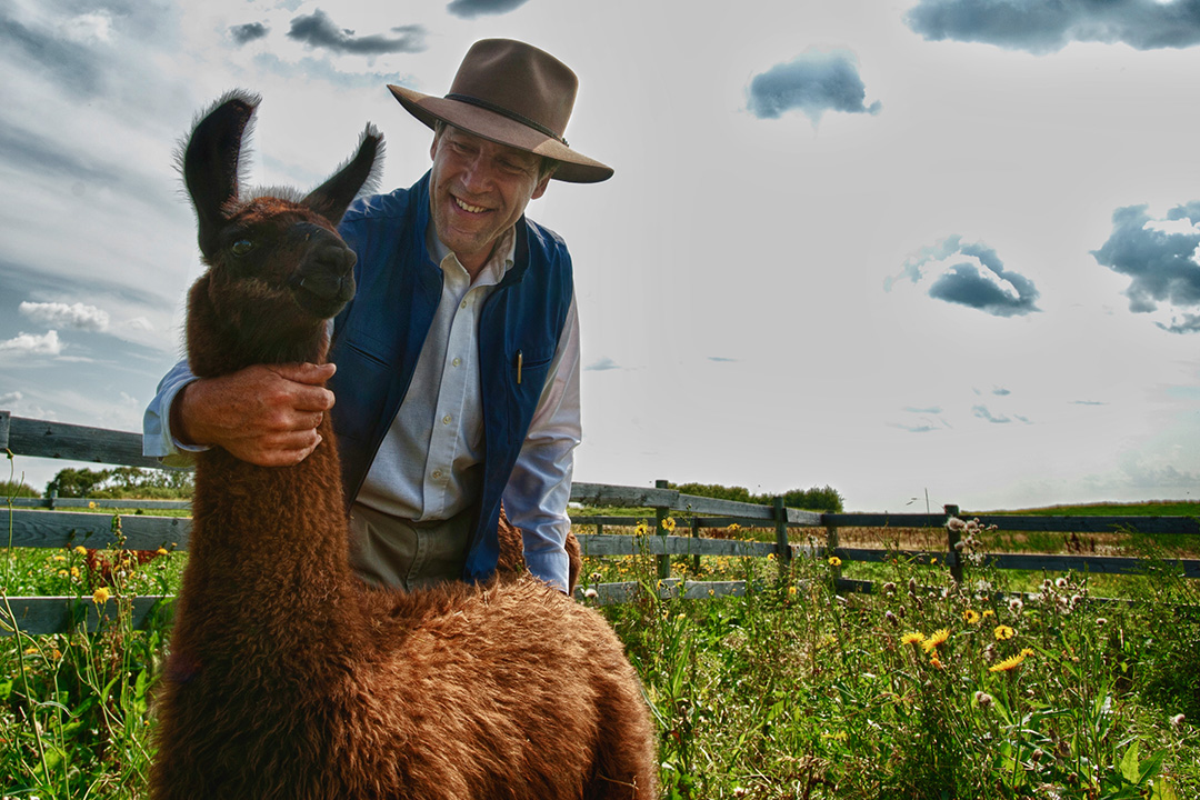 Dr. Gregg Adams (DVM, PhD) and his USask research team were the first to derive a cria (newborn llama) from embryo transfer in Canada in 2012. Photo: Liam Richards.