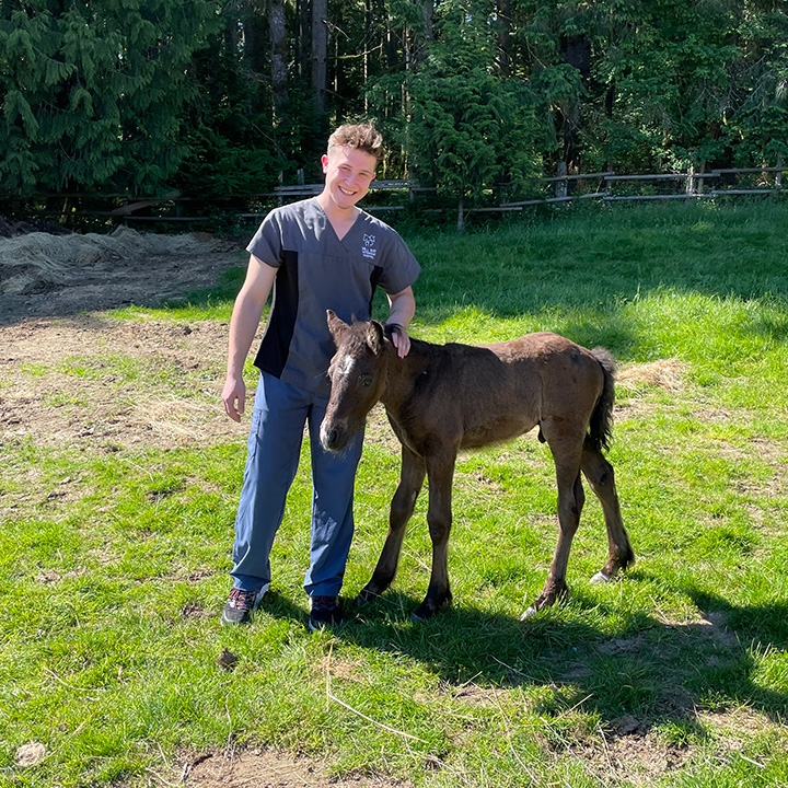 Joel Bilyk gained hands-on experience with both small and large animals as a volunteer with Mill Bay Veterinary Hospital on Vancouver Island. Supplied photo. 
