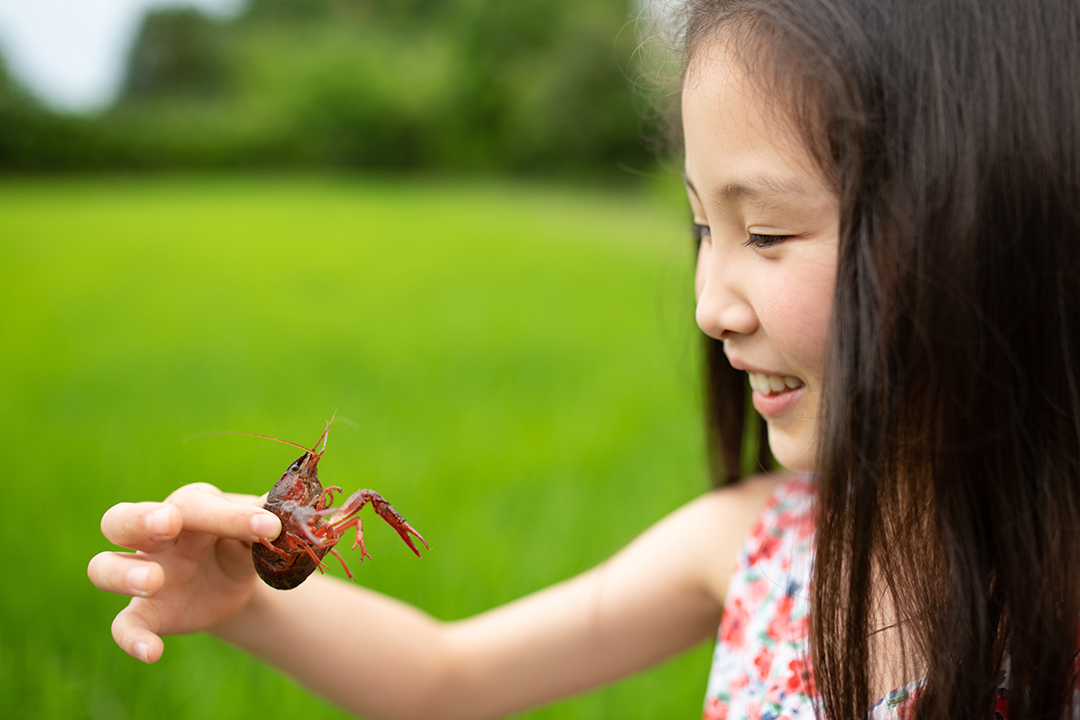 little girl holding a crayfish