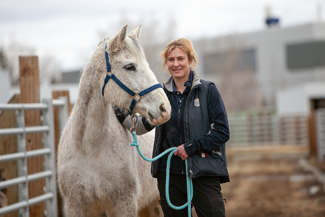 Dr. Nathalie Reisbig, veterinarian, holds a grey horse. 