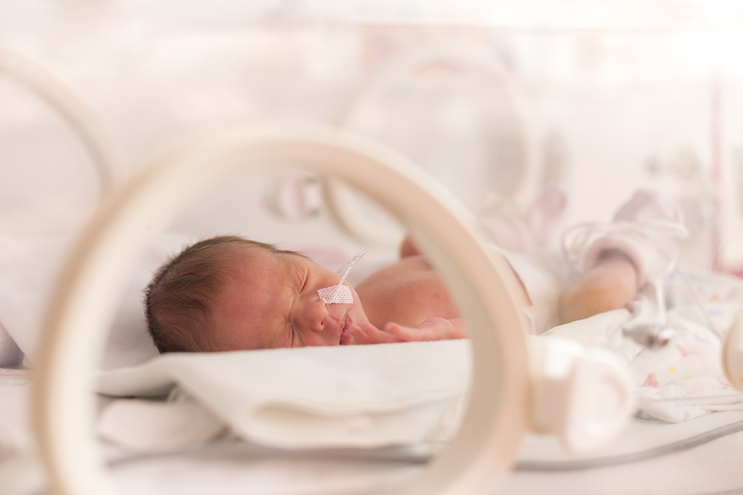 A newborn baby in the neonatal ICU