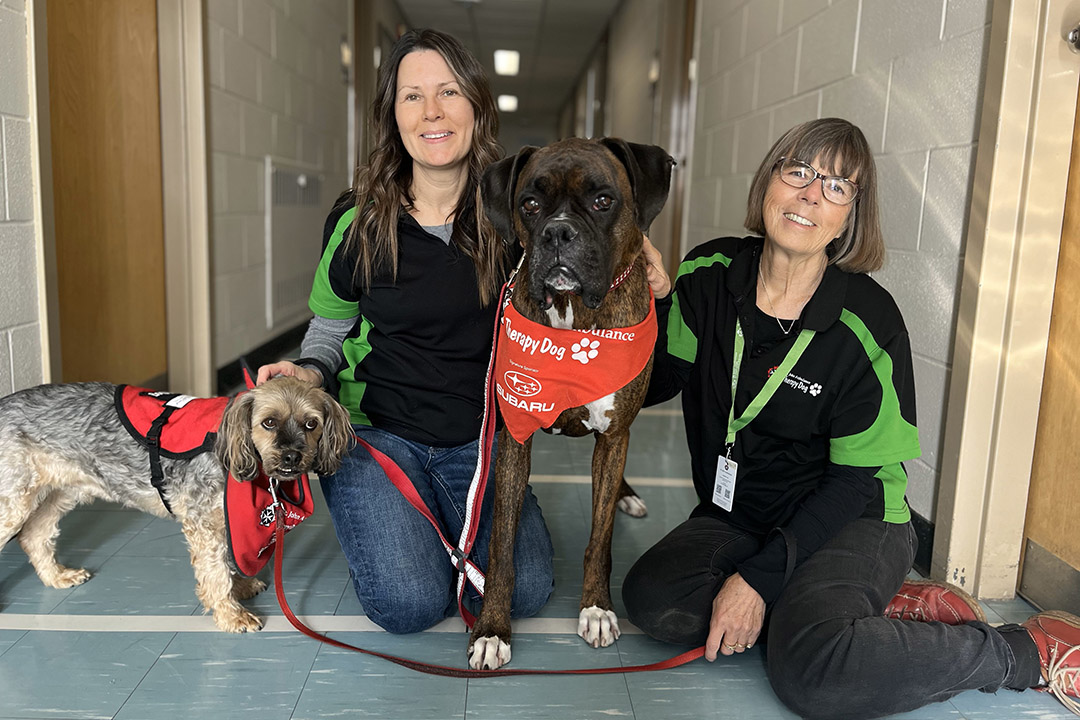 From left: Laddie, Dr. Colleen Dell (PhD), E-Jay, and Doreen Stumborg (BA’09, MFA’20) are part of the PAWS Your Stress team. (Photo: Larry Kwok)