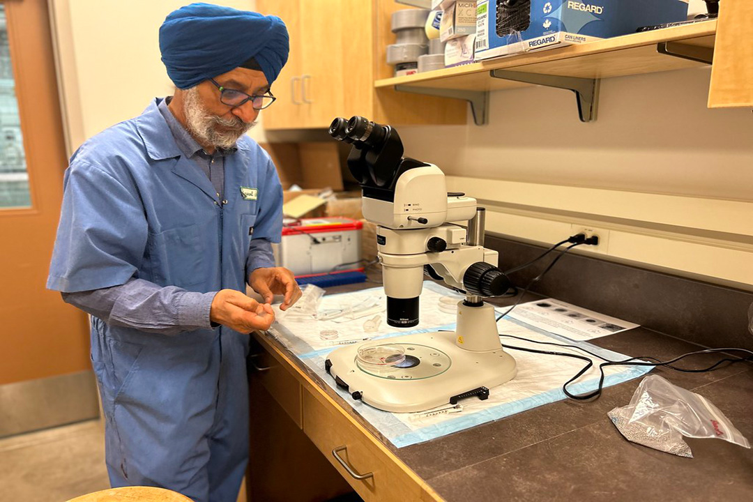 A man wearing a blue turban and blue medical coat stands next to a microscope in a lab.