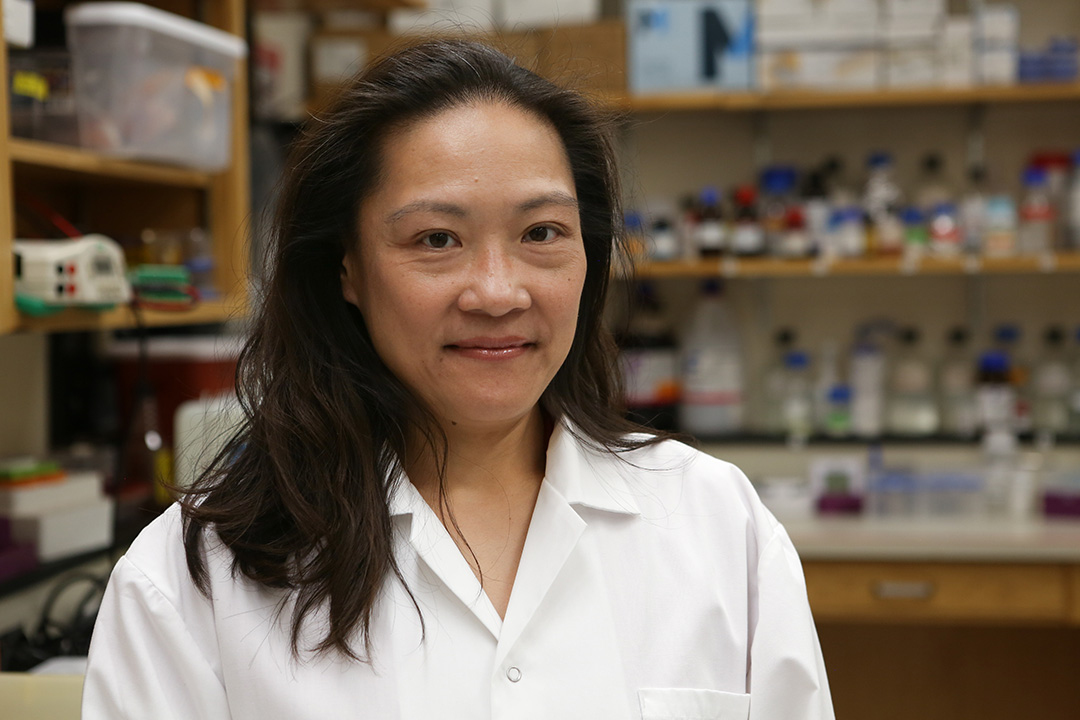 Dr. Adelaine Leung has received funding support from the Canadian Institutes of Health Research (CIHR) for her fruit fly metabolism research project. Photo: Tyler Schroeder.