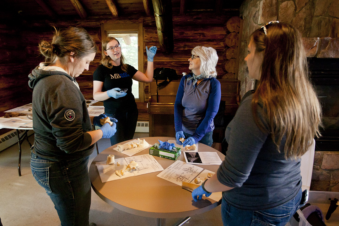 Dr. Madison Ricard explains anatomy concepts to a group of people