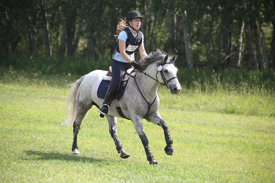 Female rider on galloping grey horse