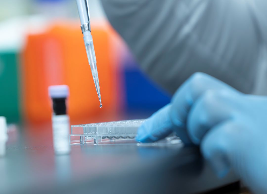 A researcher uses a pipette in one of VIDO's Containment Level 2 laboratories (Photo: David Stobbe) 