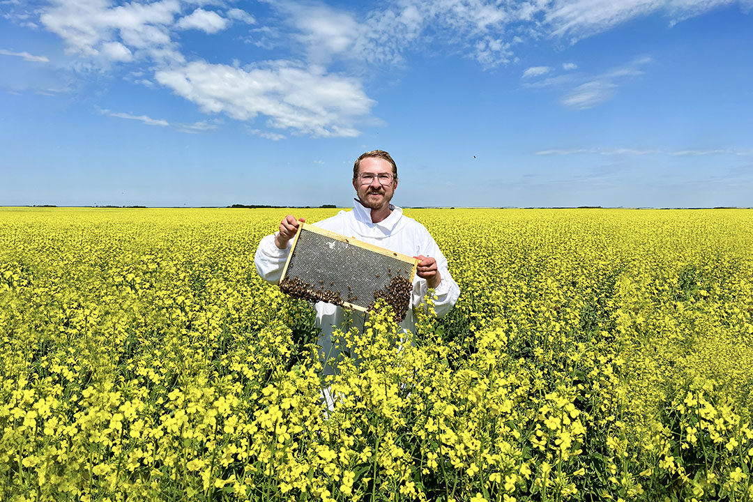 Veterinary student Justin Slobodian holding a honey bee frame in the middle of a canola field. 