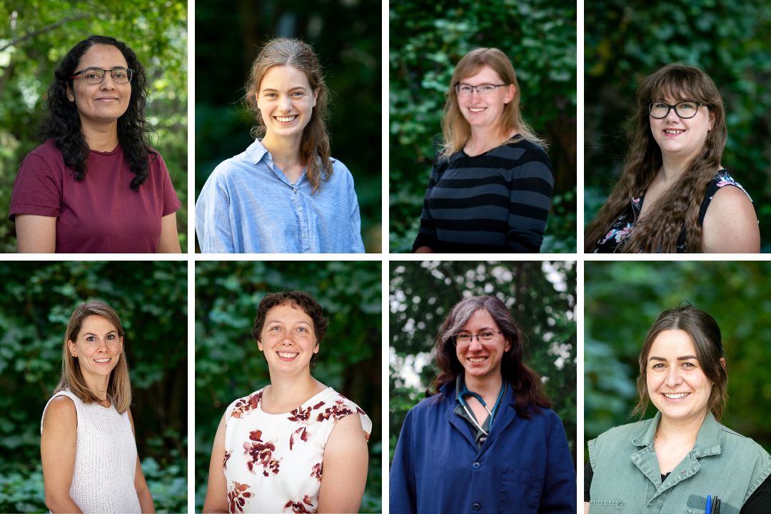 A photo grid of graduating student headshots. 