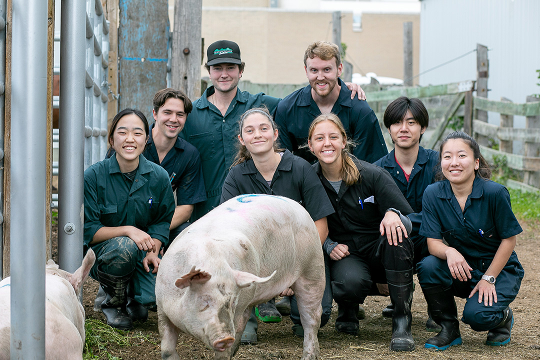 veterinary students grouped together with a pig in front of them