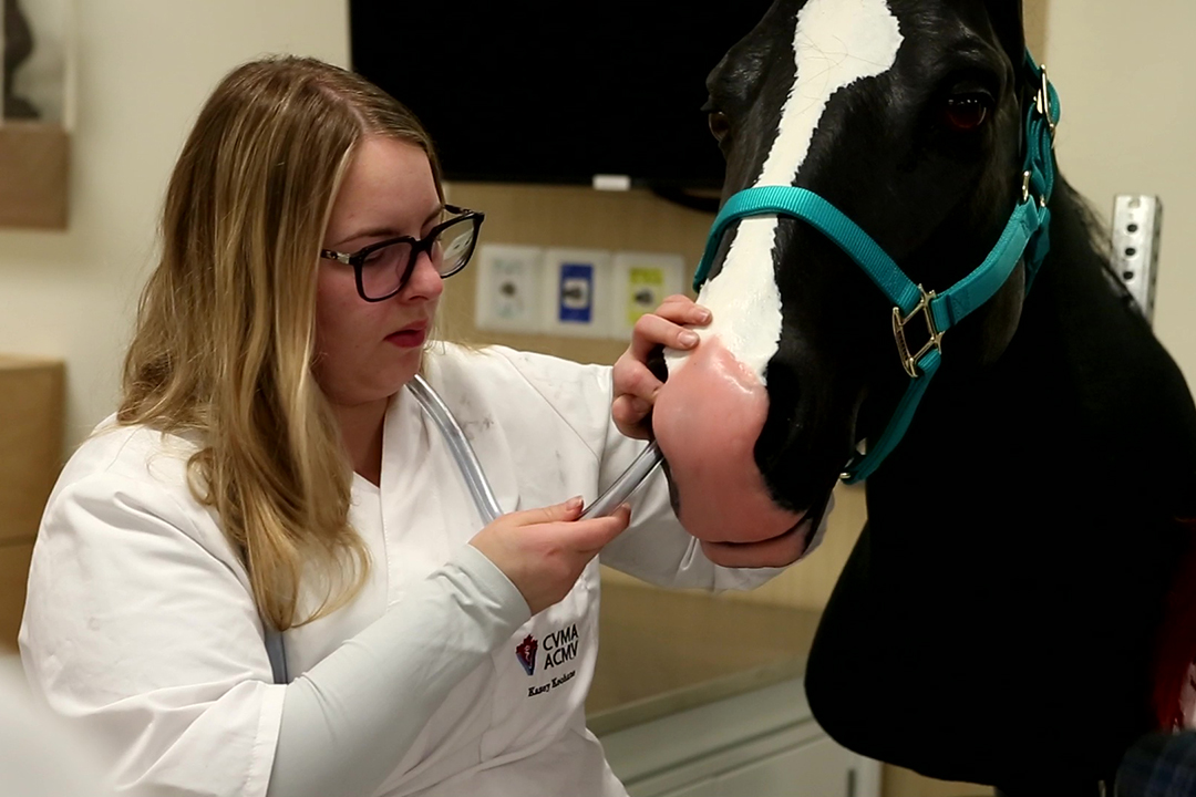 student using the nasogastric model