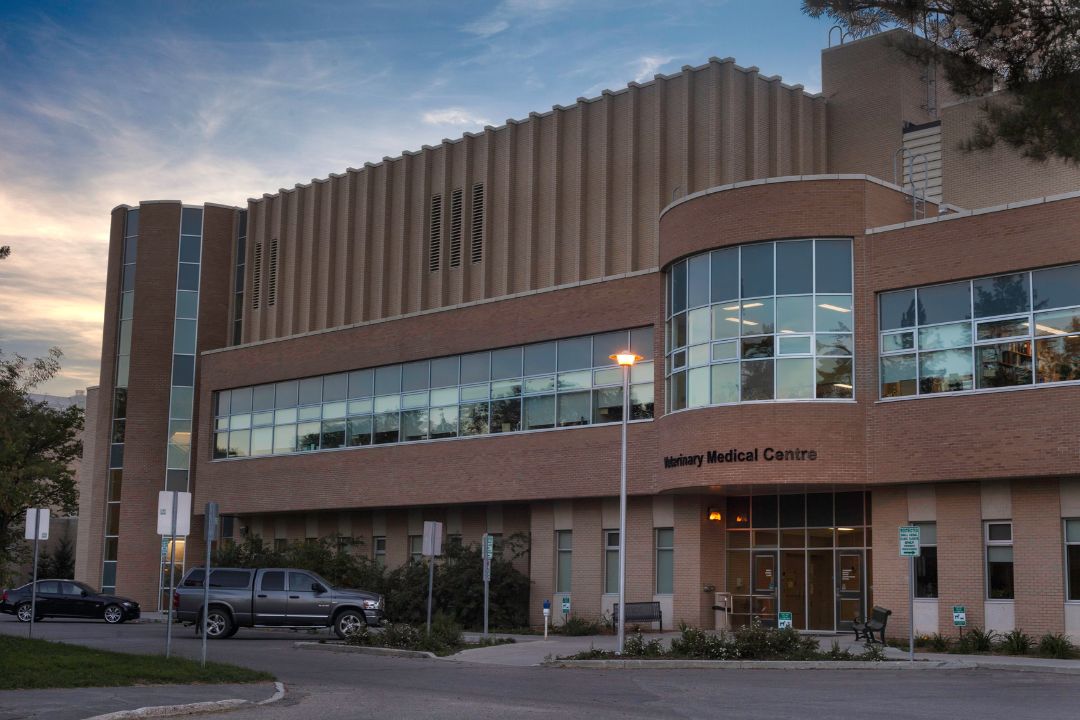 An exterior shot of the Veterinary Medical Centre on campus.