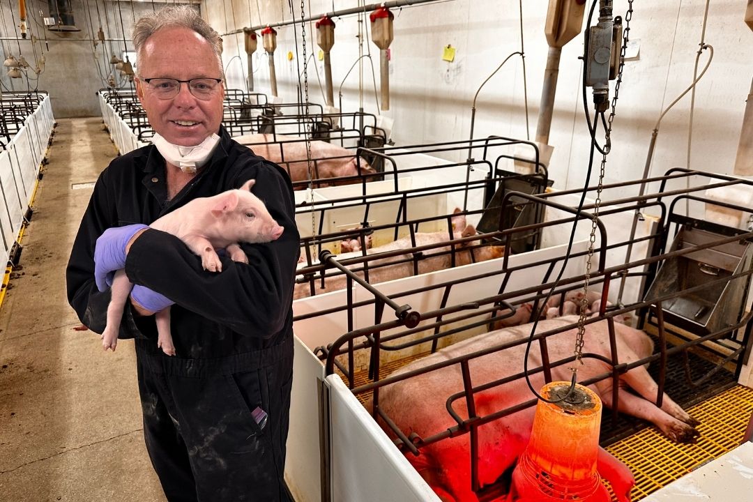 WCVM grad of 1983, Dr. Frank Marshall lists a combination of reasons for the decline in swine producers including cyclical markets, emerging diseases, aging producers and government programs. Photos: Mary MacArthur.