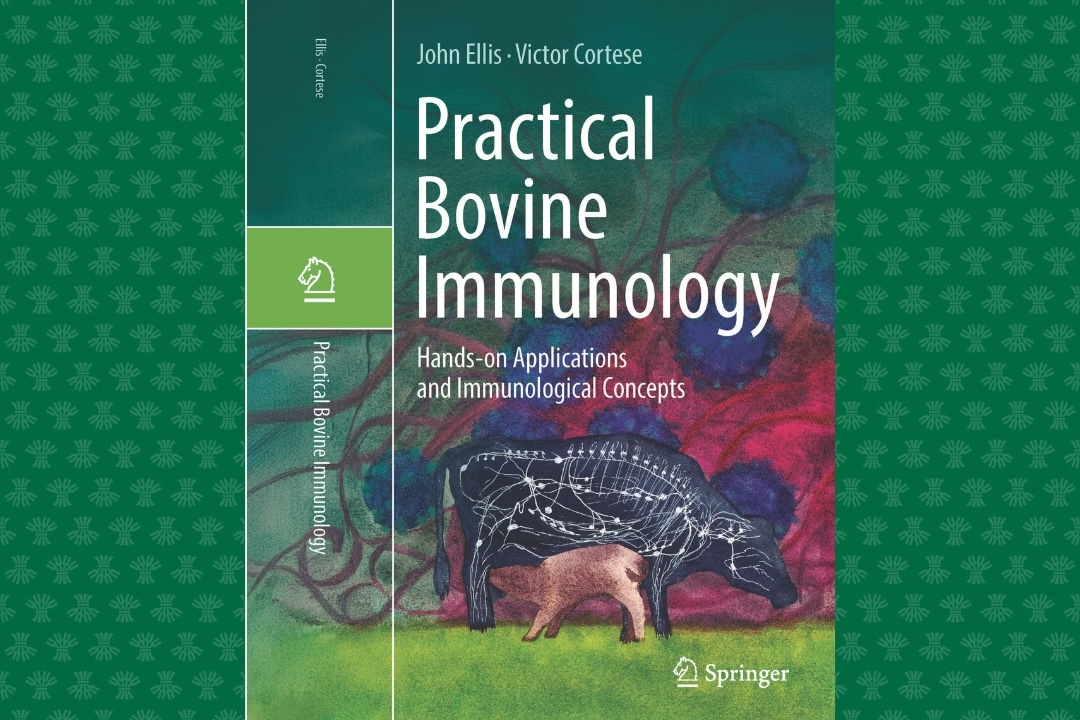 WCVM graduate Dr. Evanna Lai created the illustration for the cover of Practical Bovine Immunology, a textbook co-authored by Drs. John Ellis and Victor Cortese. Ellis was Cortese’s PhD supervisor at the WCVM. Supplied photo.
